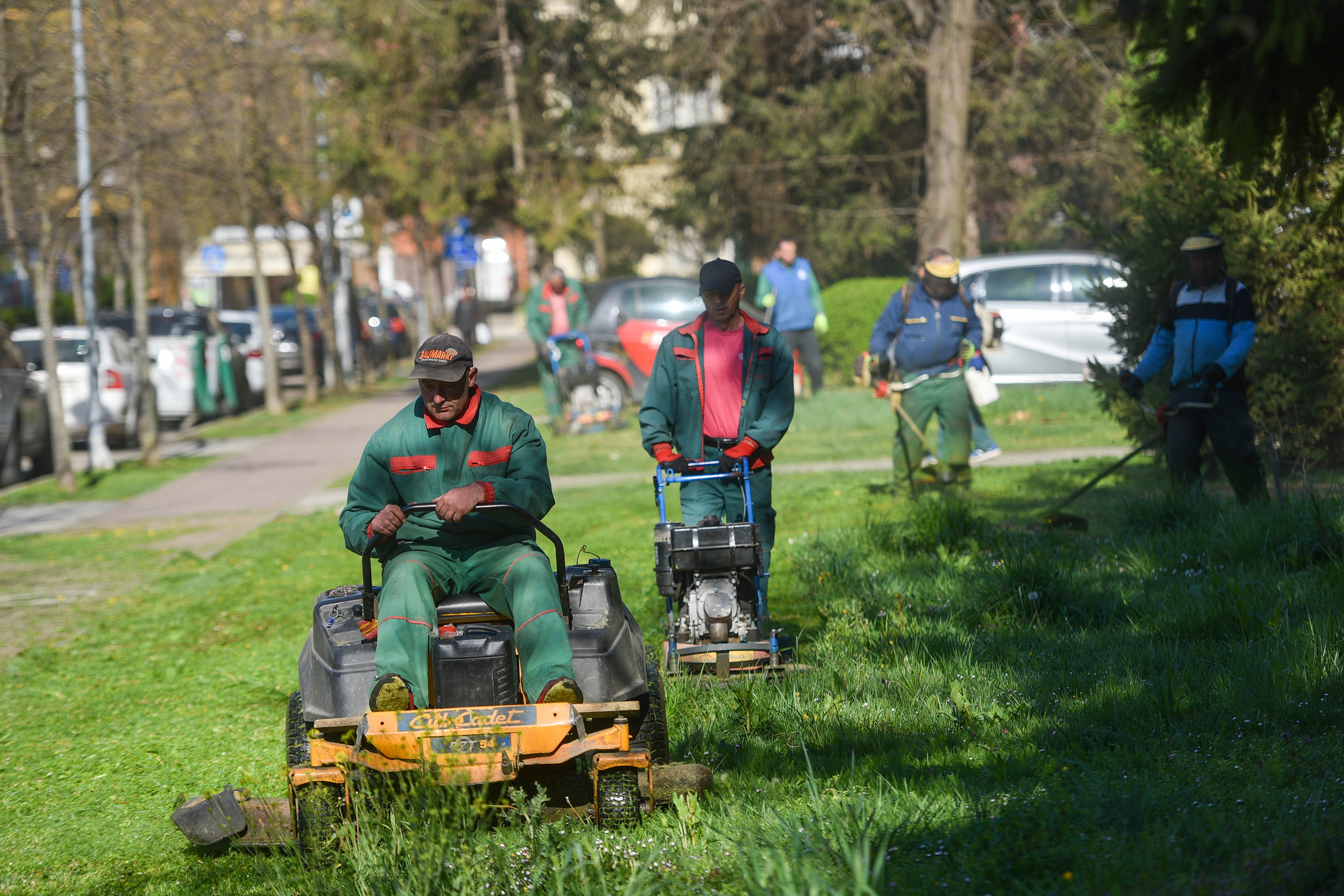  Фото: А. Чавић