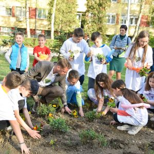Чисто лице града: Цвијећем и украсним биљем уљепшали Нову варош и Росуље Чисто лице града: Цвијећем и украсним биљем уљепшали Нову варош и Росуље