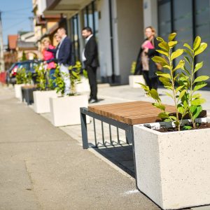 Донација „ABC Solutions“: Саднице и клупе за додатни сјај Улице Милана Радмана