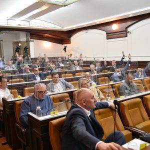 Скупштинска већина одлучила: Нема градње парка ове године