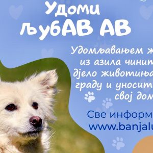 Удоми љубав: Бројни пси из бањалучког азила чекају свог власника Удоми љубав: Бројни пси из бањалучког азила чекају свог власника