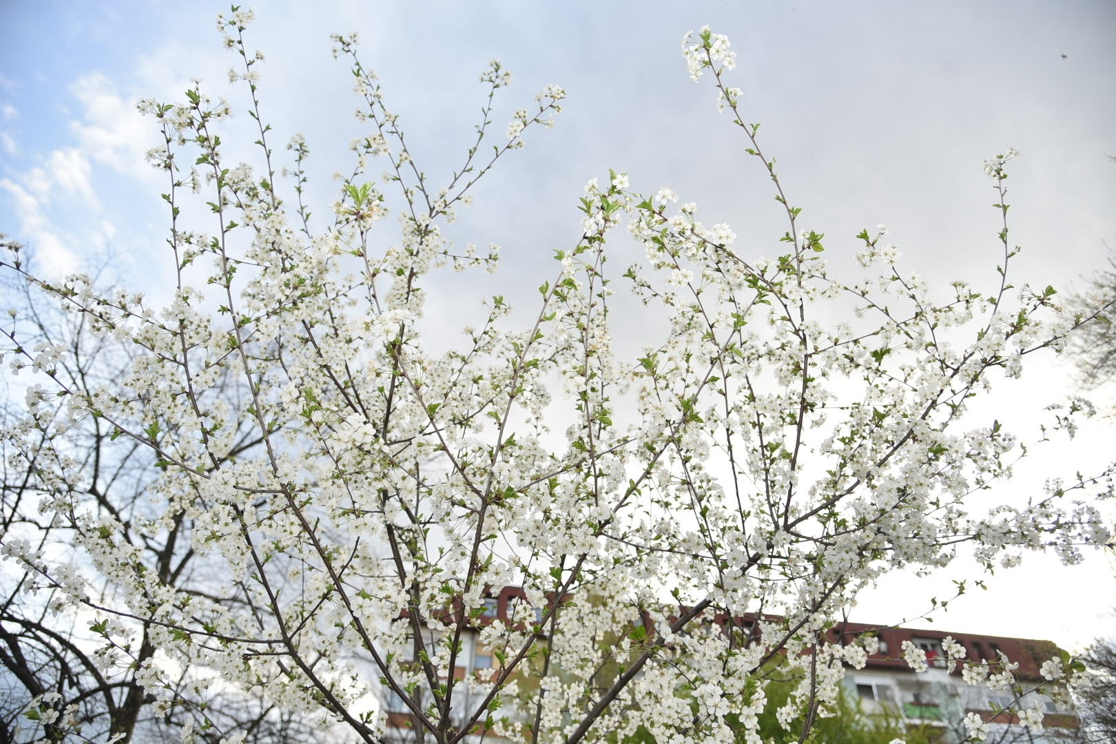  Фото илустрација