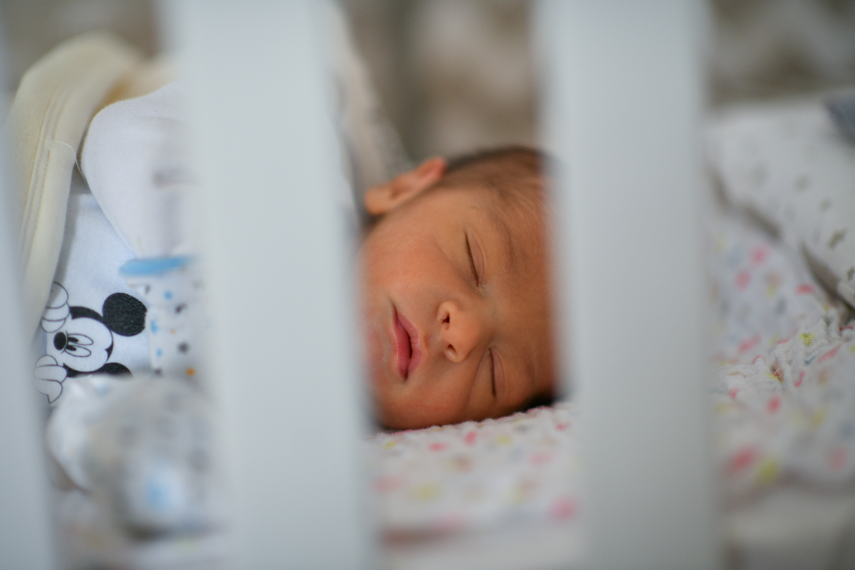  Фото: А.Чавић