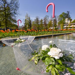 Почела акција „Бирамо најуређеније“: Уредите своје двориште, уредите свој град Почела акција „Бирамо најуређеније“: Уредите своје двориште, уредите свој град