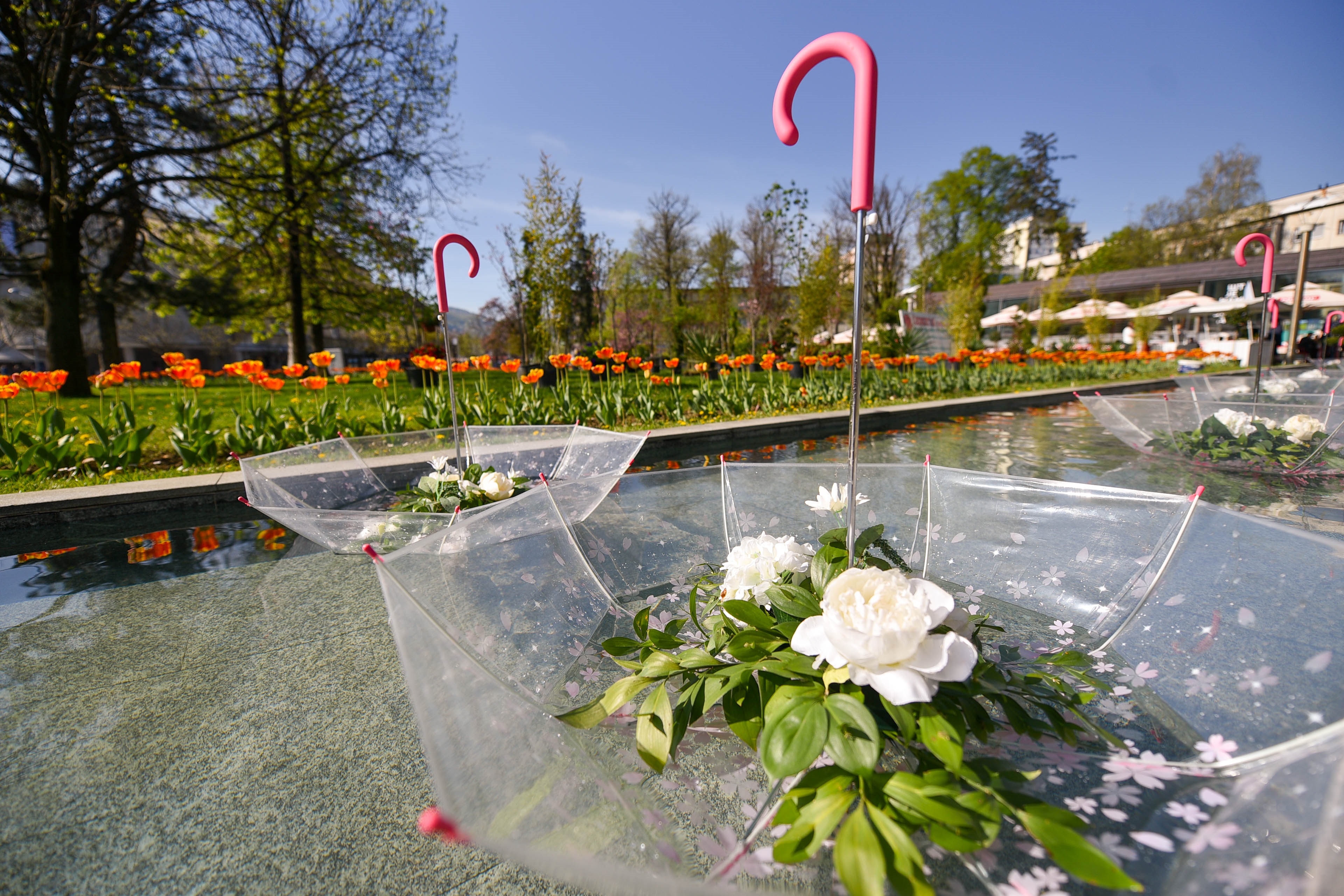  Фото: А. Чавић