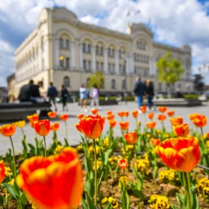 Богат програм Бањалучког прољећа и у наредним данима Богат програм Бањалучког прољећа и у наредним данима