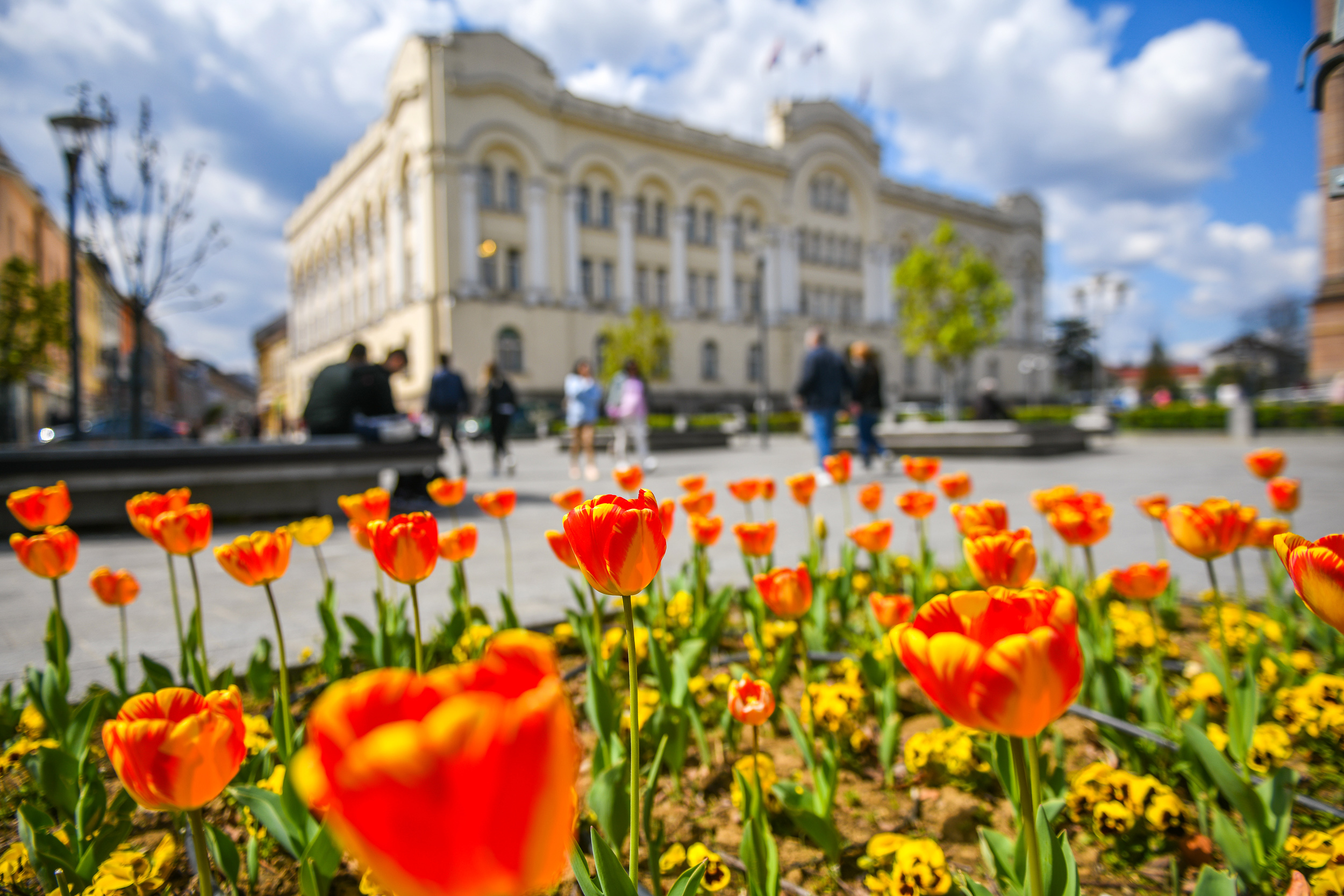  Фото: А. Чавић