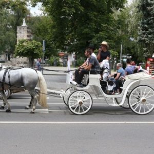 Veliki defile kočija u centru Banje Luke povodom praznika Duhovi
