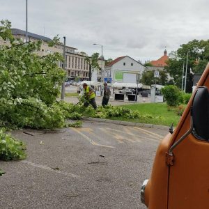 Оштећено више стабала: Саниране посљедице олујног невремена Оштећено више стабала: Саниране посљедице олујног невремена