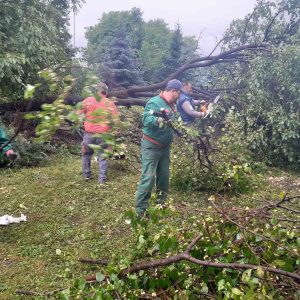Ekipe na terenu, uklanjaju oštećena stabla