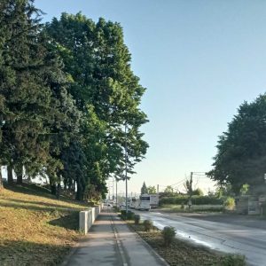 „Чисто лице града“: Централна акција у суботу у Залужанима