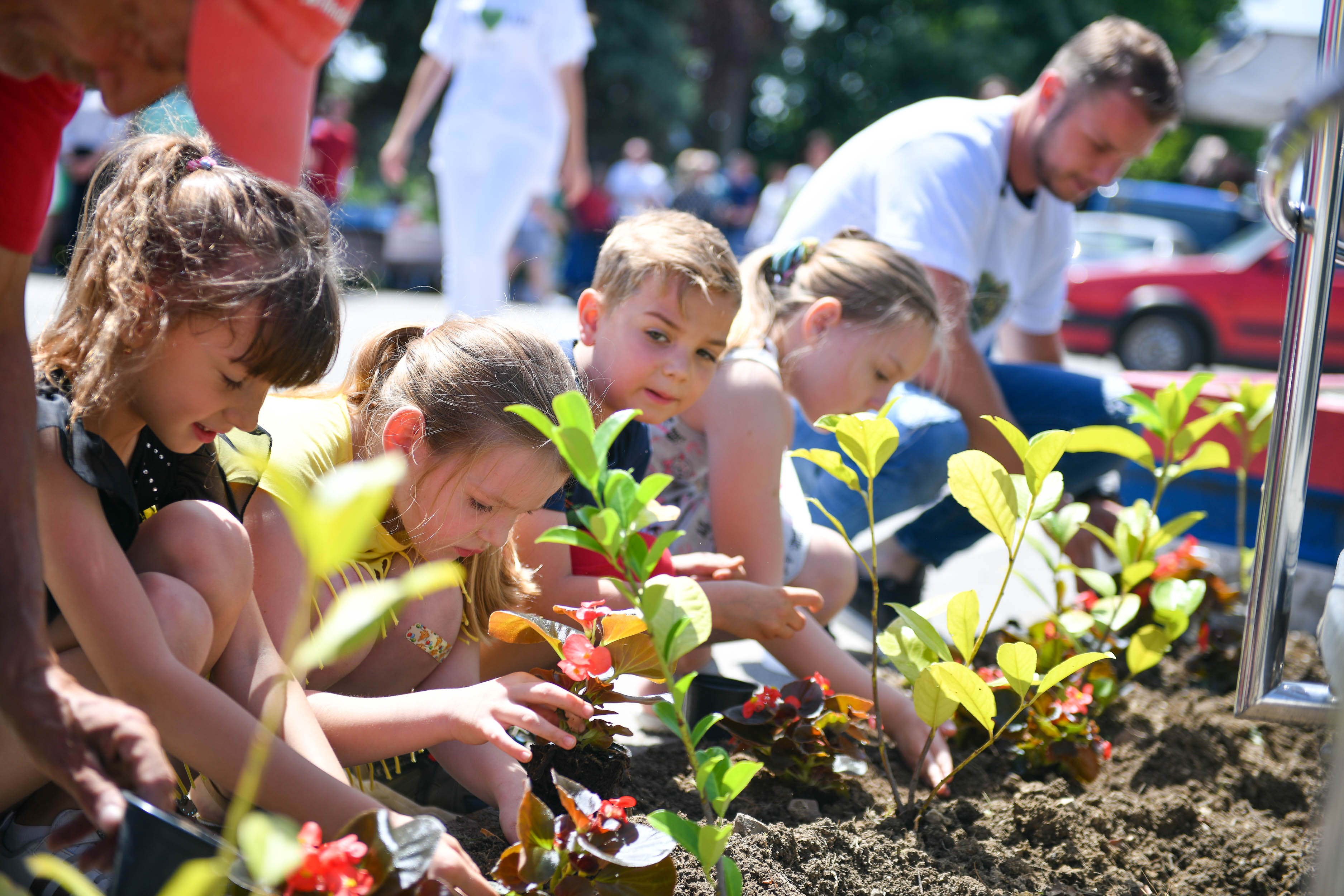  Фото: А. Чавић