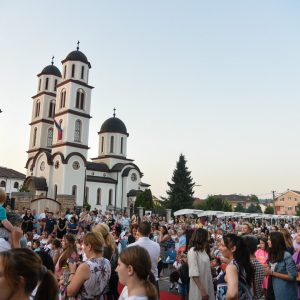 Очување традиције и обичаја: „Петровдански дани Петрићевца“ од 8. до 14. јула