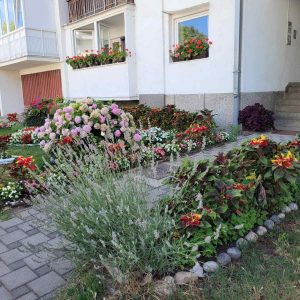 Комисија на терену: До краја августа обилазак пријављених дворишта Комисија на терену: До краја августа обилазак пријављених дворишта