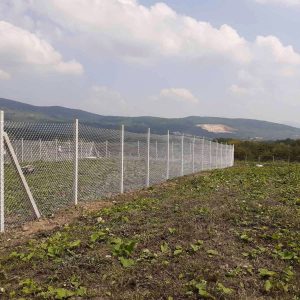 Радови у току: Пси из бањалучког азила добиће ускоро ограђен простор на отвореном Радови у току: Пси из бањалучког азила добиће ускоро ограђен простор на отвореном