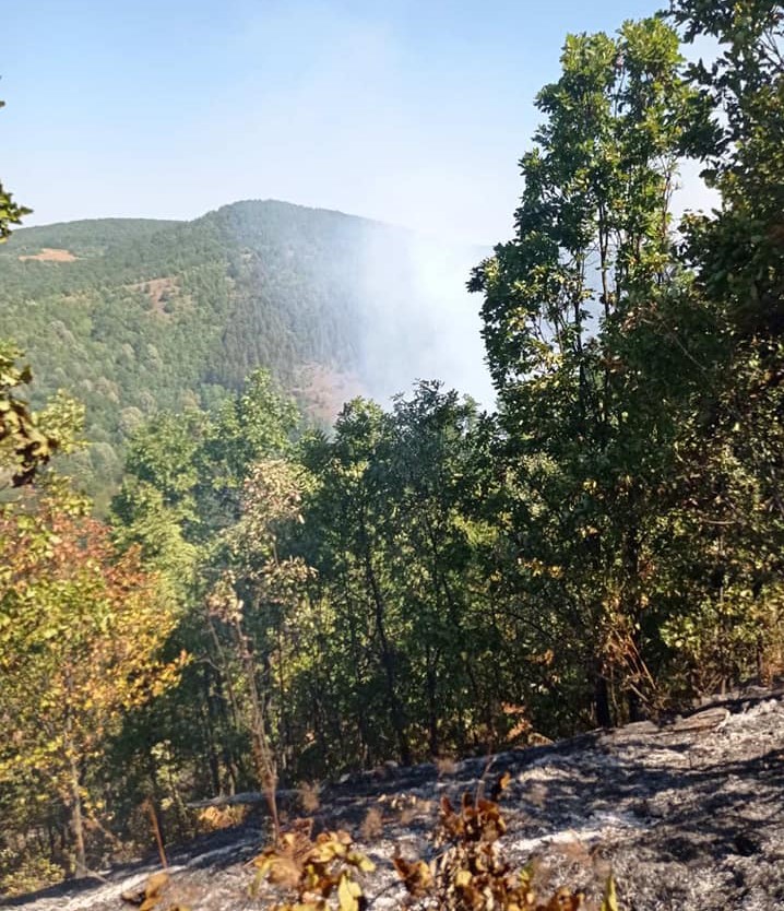  Фото: Ватрогасна бригада