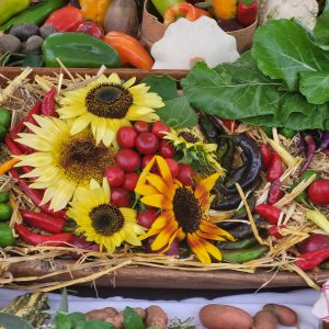 Пријаве у току: Јесењи фестивал од 21. до 23. септембра Пријаве у току: Јесењи фестивал од 21. до 23. септембра