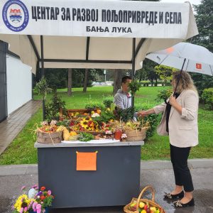 Дани баштованства на платоу код Крајишке куће Дани баштованства на платоу код Крајишке куће