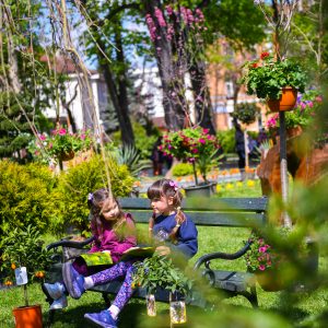 Придружите се: Сутра отварање Јесењег фестивала цвијећа и плодова