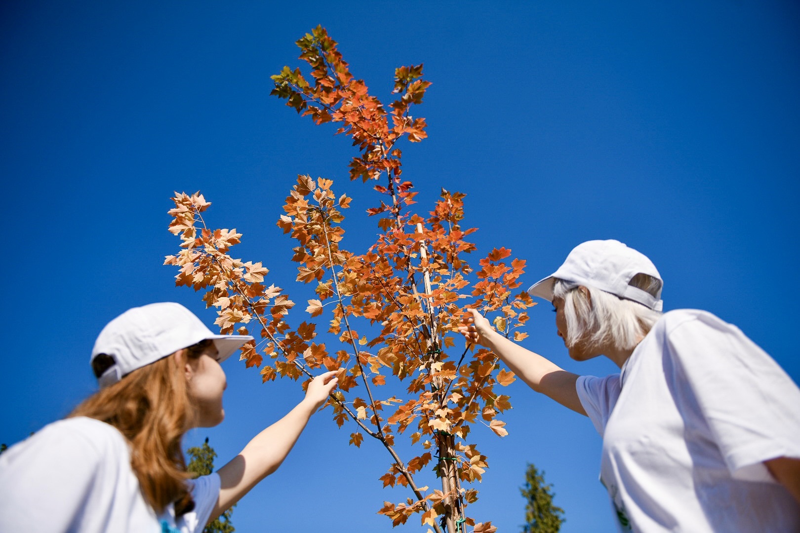  Фото: А. Чавић
