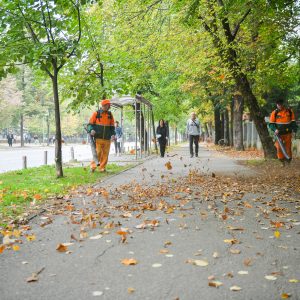 У току сакупљање лишћа са пјешачких стаза У току сакупљање лишћа са пјешачких стаза