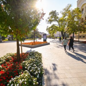 Новчана подршка: Позив незапосленим женама да пријаве идеје за покретање властитог посла Новчана подршка: Позив незапосленим женама да пријаве идеје за покретање властитог посла