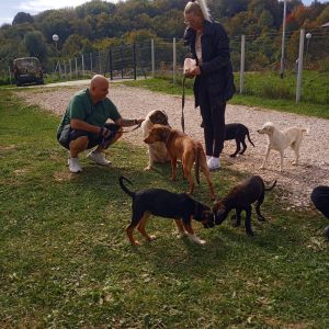 Удоми љубав: Одржан још један Дан отворених врата у азилу на Мањачи Удоми љубав: Одржан још један Дан отворених врата у азилу на Мањачи