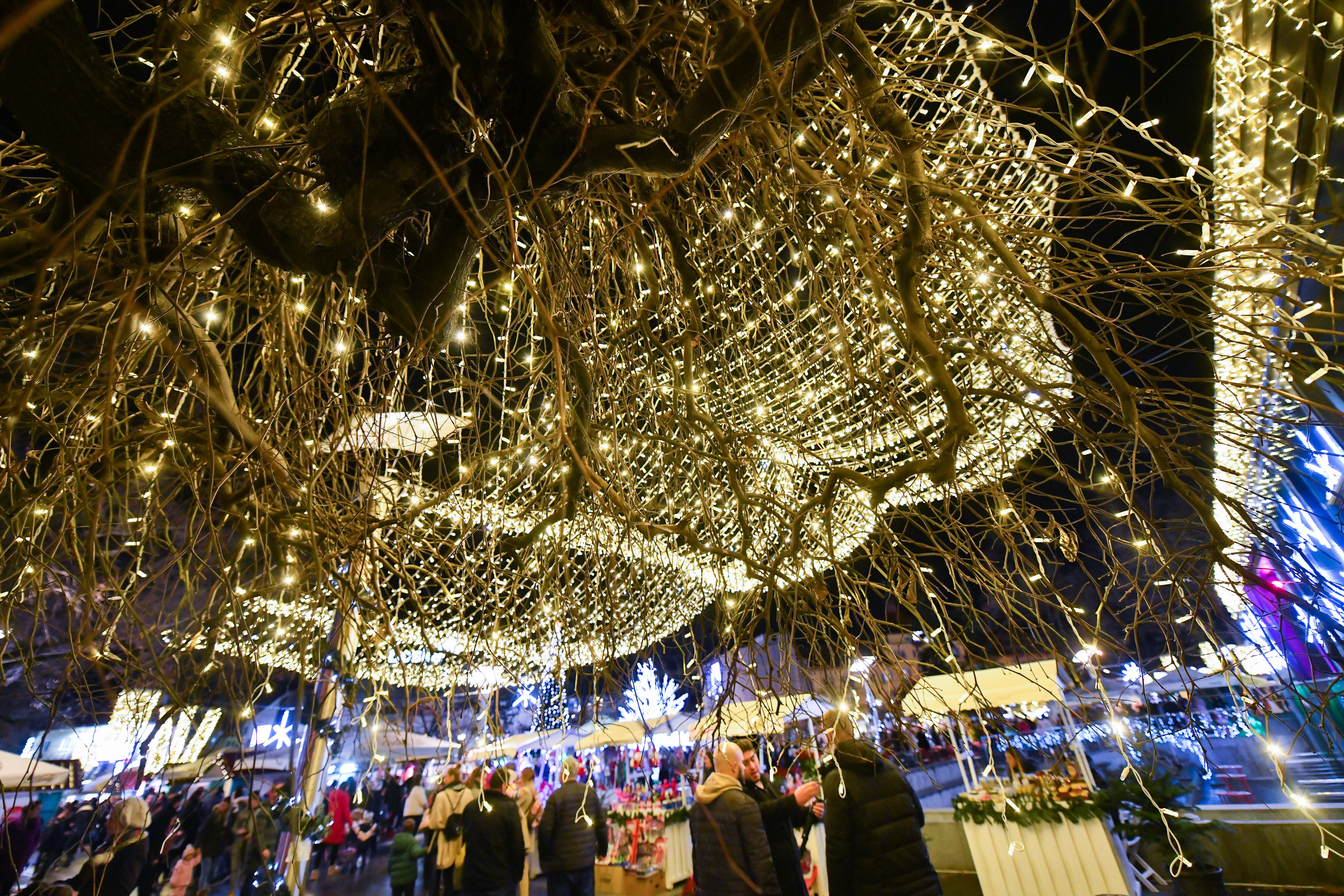 Фото архива