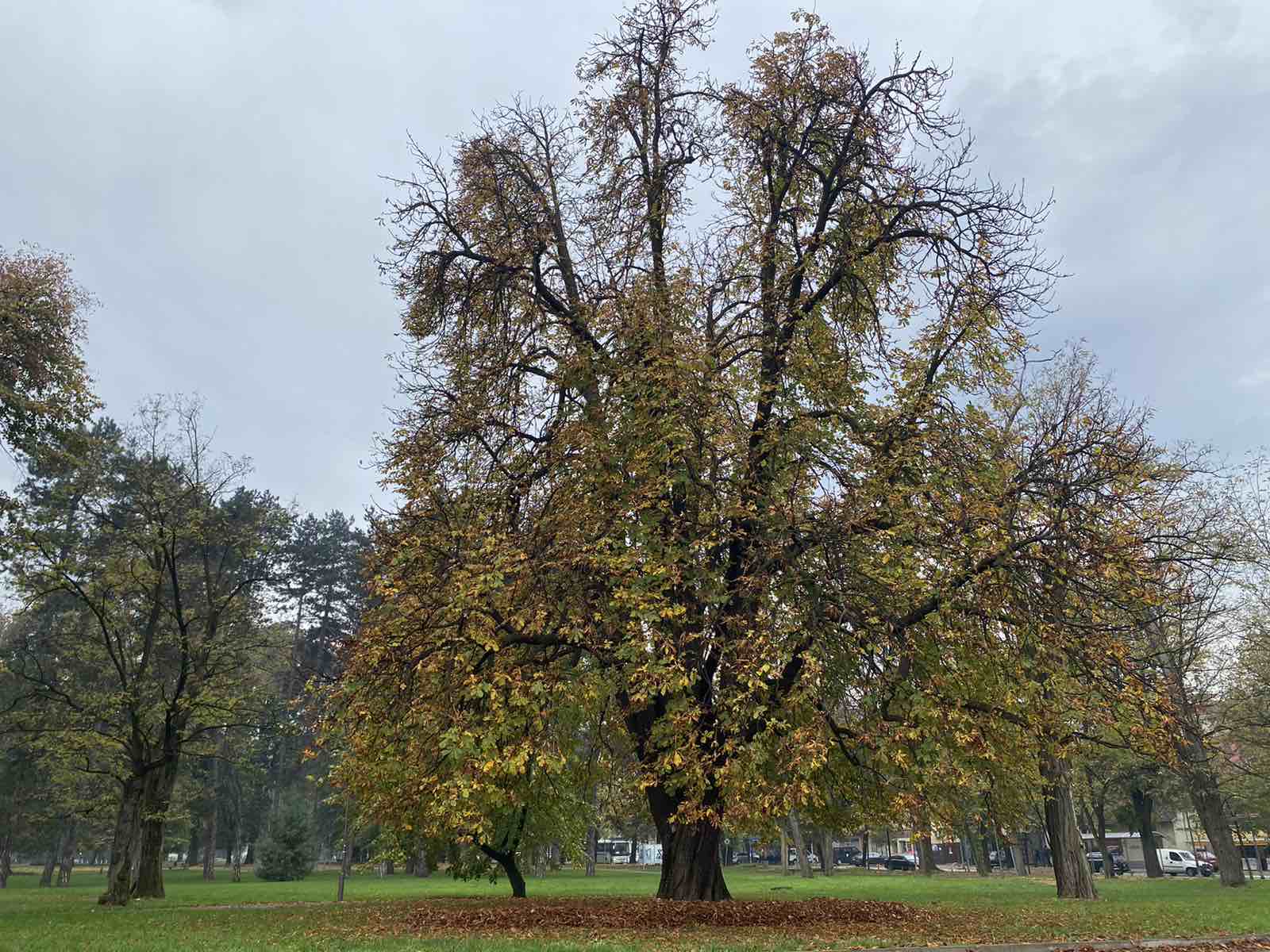  Фото: Град Бања Лука