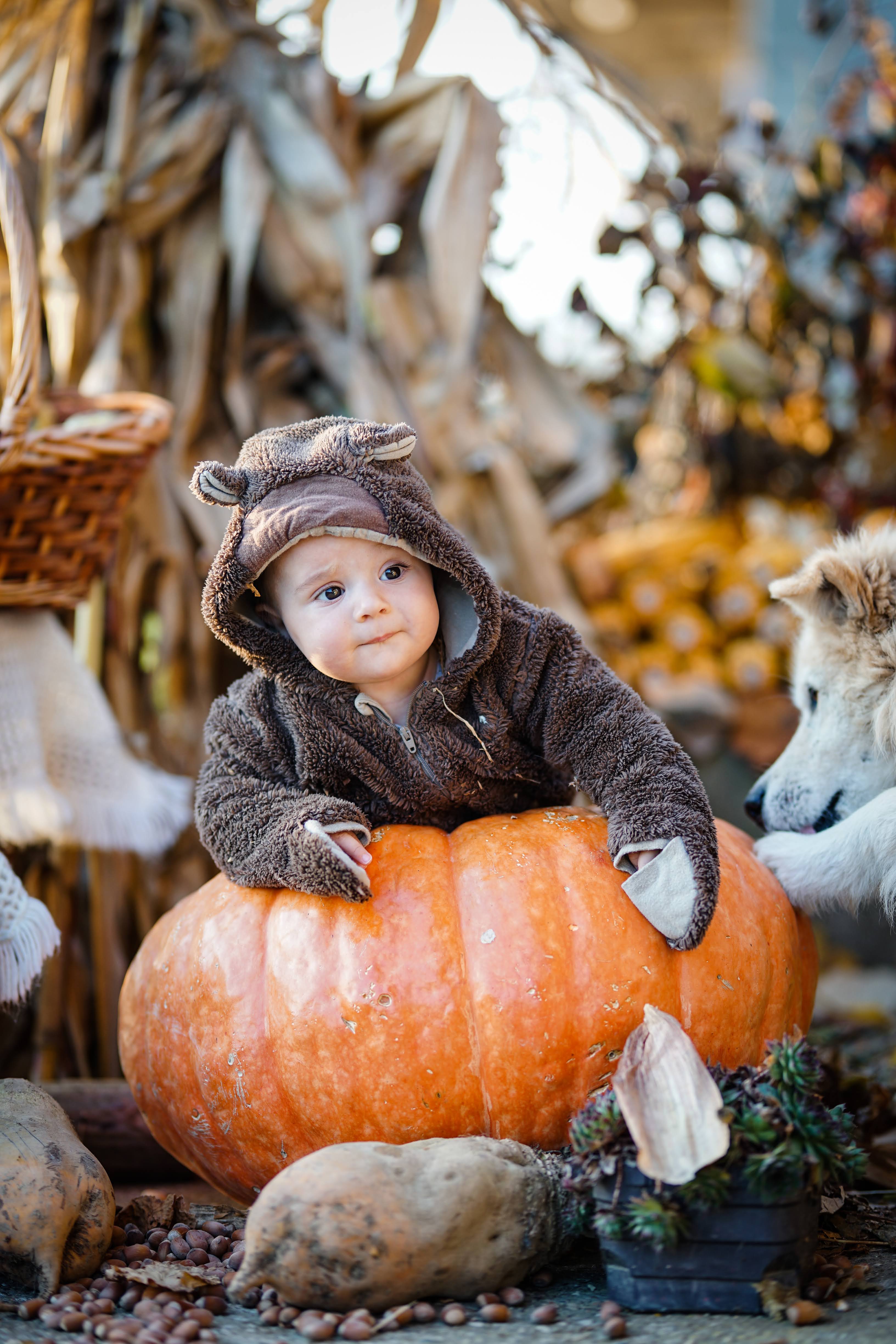  Autor: Milijana Malušić