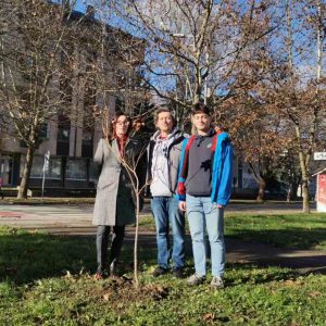 Настављена јесења садња: Нови дрвореди на Старчевици