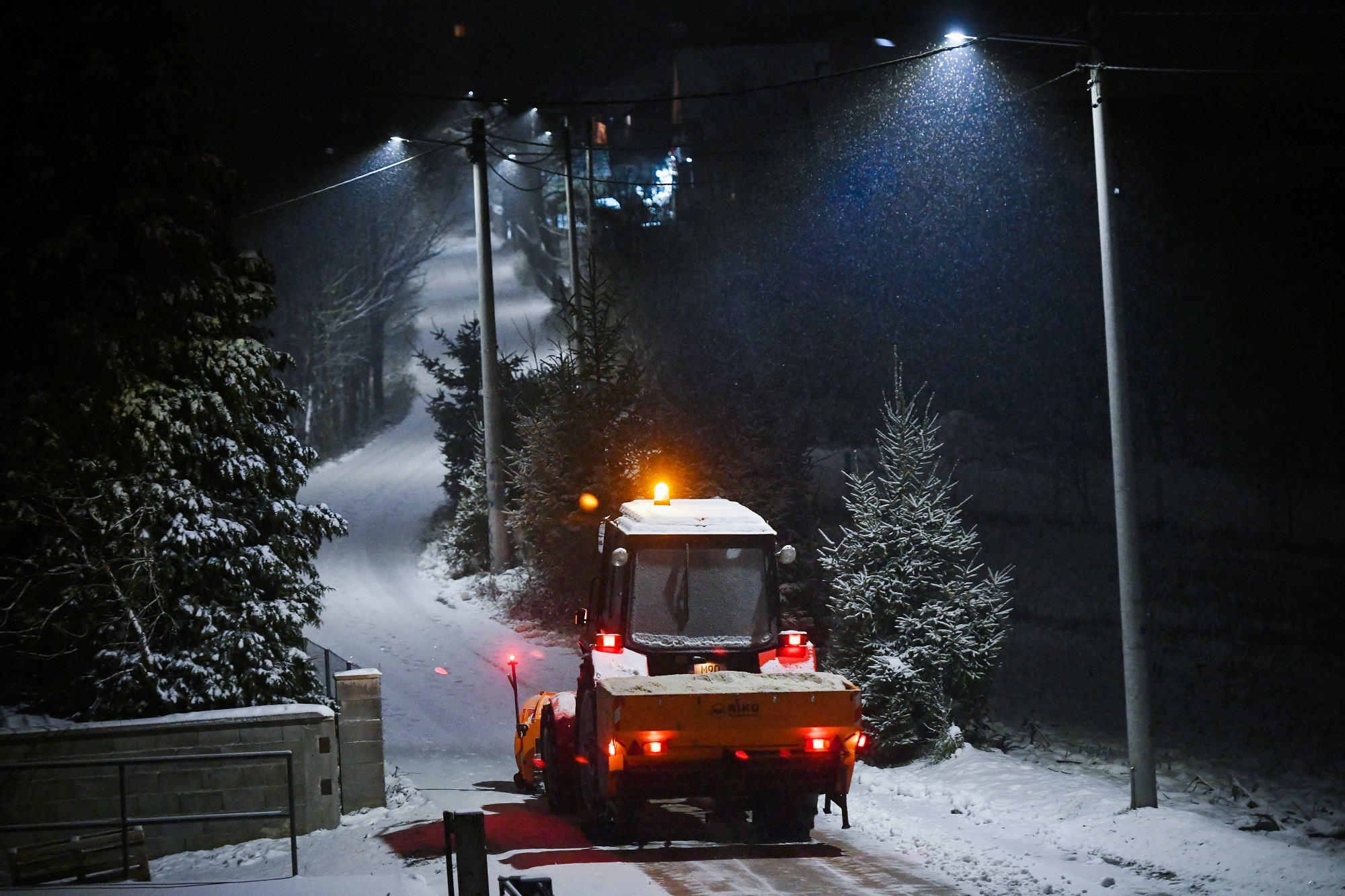  Фото: А. Чавић