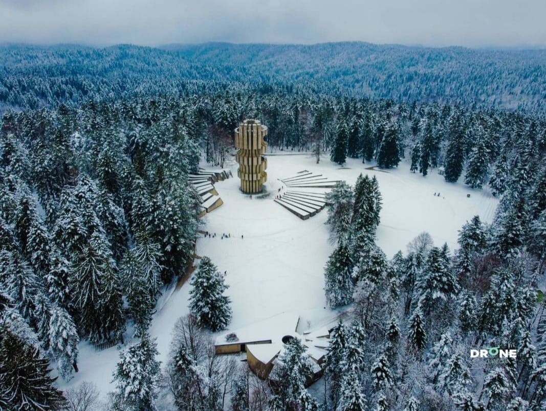  Фото: М. Тривунић