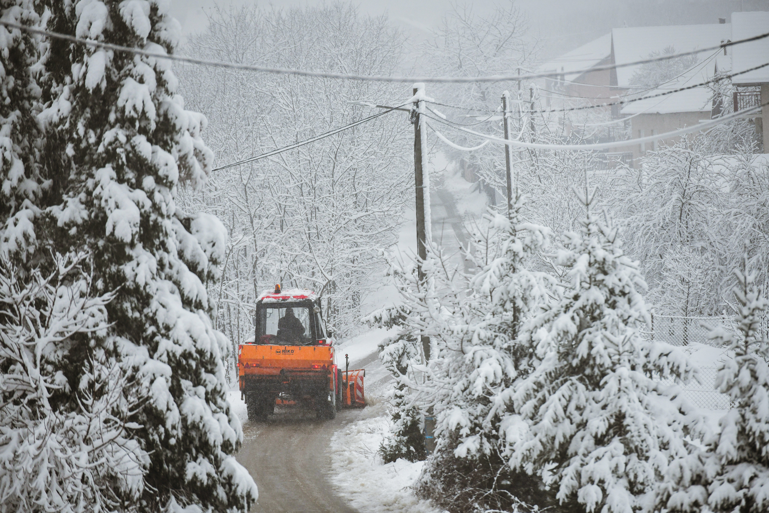  Фото: А. Чавић
