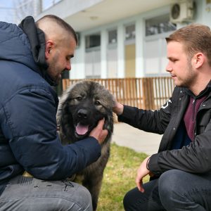 Више од стотину такмичара: 17. Клупско првенство Републике Српске за шарпланинце, присуствовао и градоначелник Више од стотину такмичара: 17. Клупско првенство Републике Српске за шарпланинце, присуствовао и градоначелник
