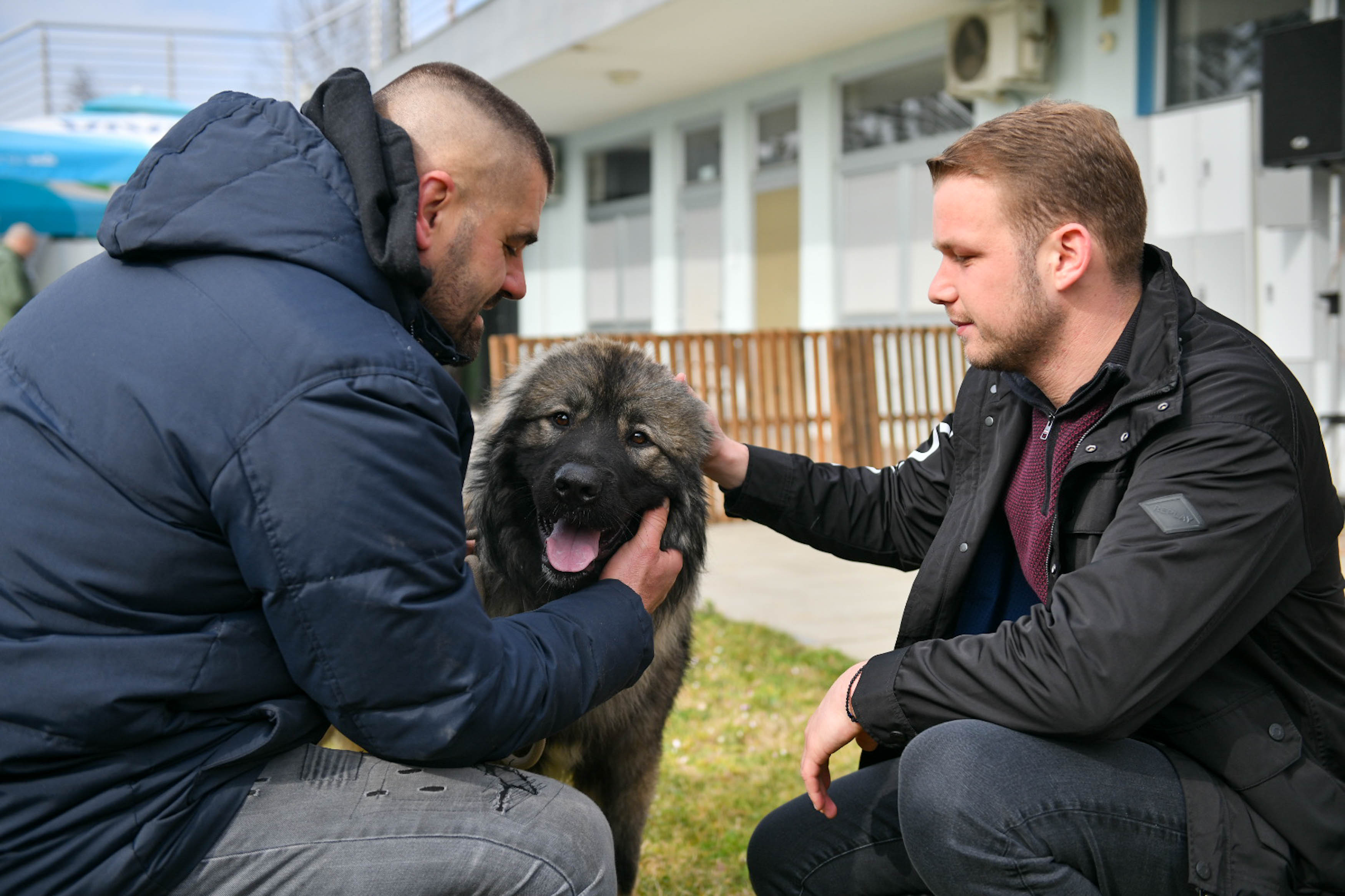  Фото: С. Ћуковић