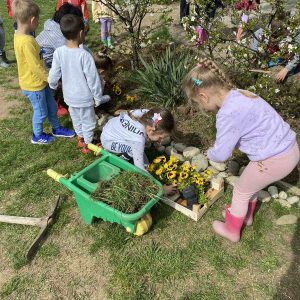 Акција уређења: Вриједни малишани засадили цвијеће и уредили двориште вртића „Невен“ Акција уређења: Вриједни малишани засадили цвијеће и уредили двориште вртића „Невен“