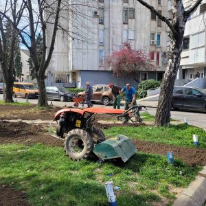 Постављање заштитних стубића на зеленим површинама у Улици Новице Церовића