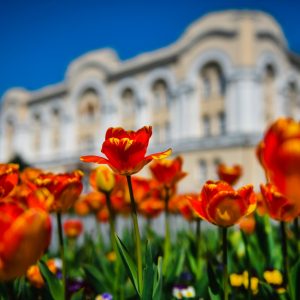 Придружите нам се: Уз велику торту и спектакуларан програм Бања Лука прославља Дан града Придружите нам се: Уз велику торту и спектакуларан програм Бања Лука прославља Дан града