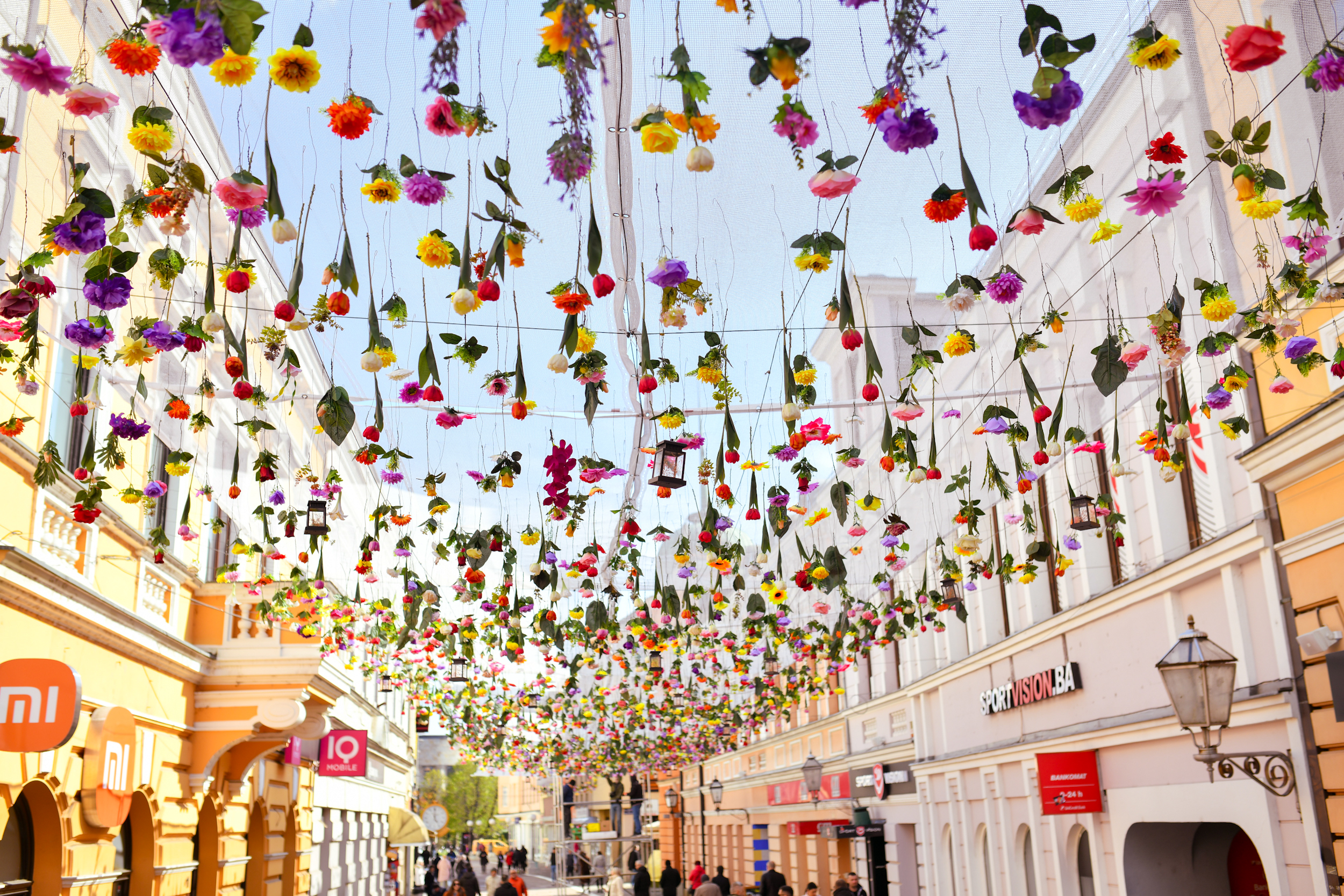  Фото: А. Чавић