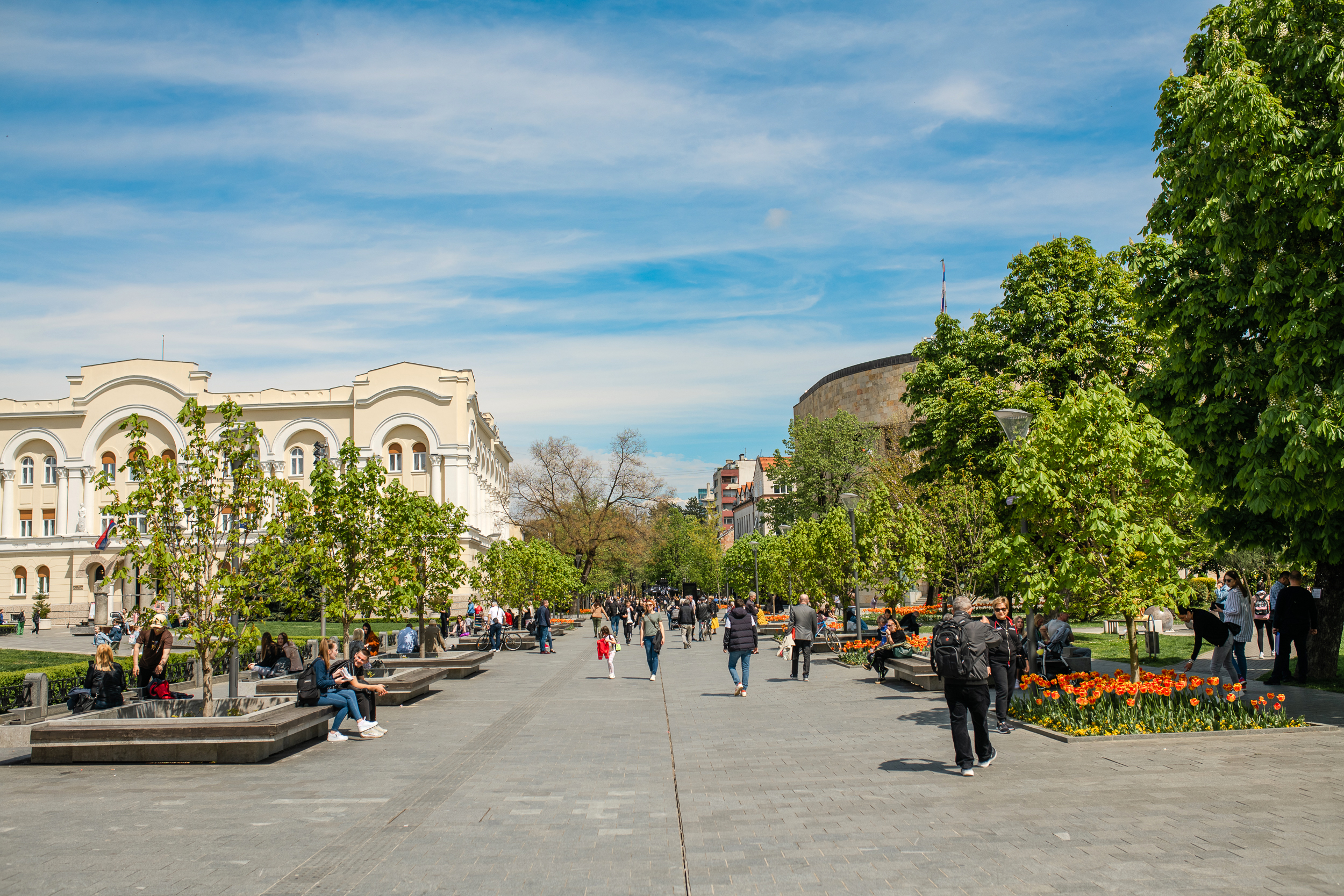  Фото: А. Чавић