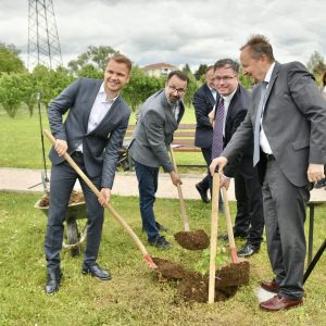 У знак пријатељства два града: У Бањој Луци засађен калем најстарије винове лозе из Марибора У знак пријатељства два града: У Бањој Луци засађен калем најстарије винове лозе из Марибора