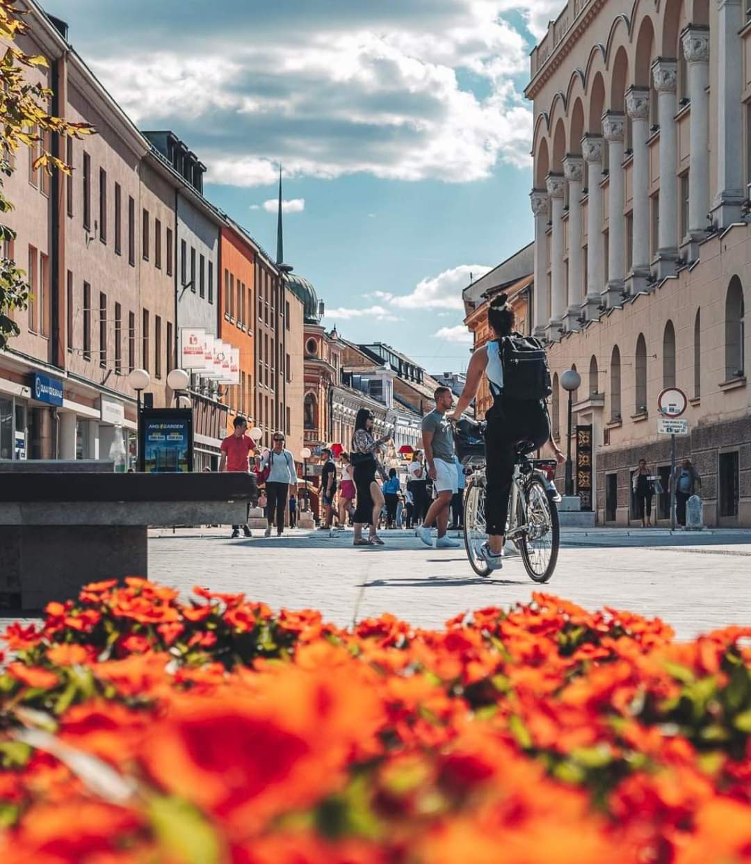  Фото: Н. Попадић