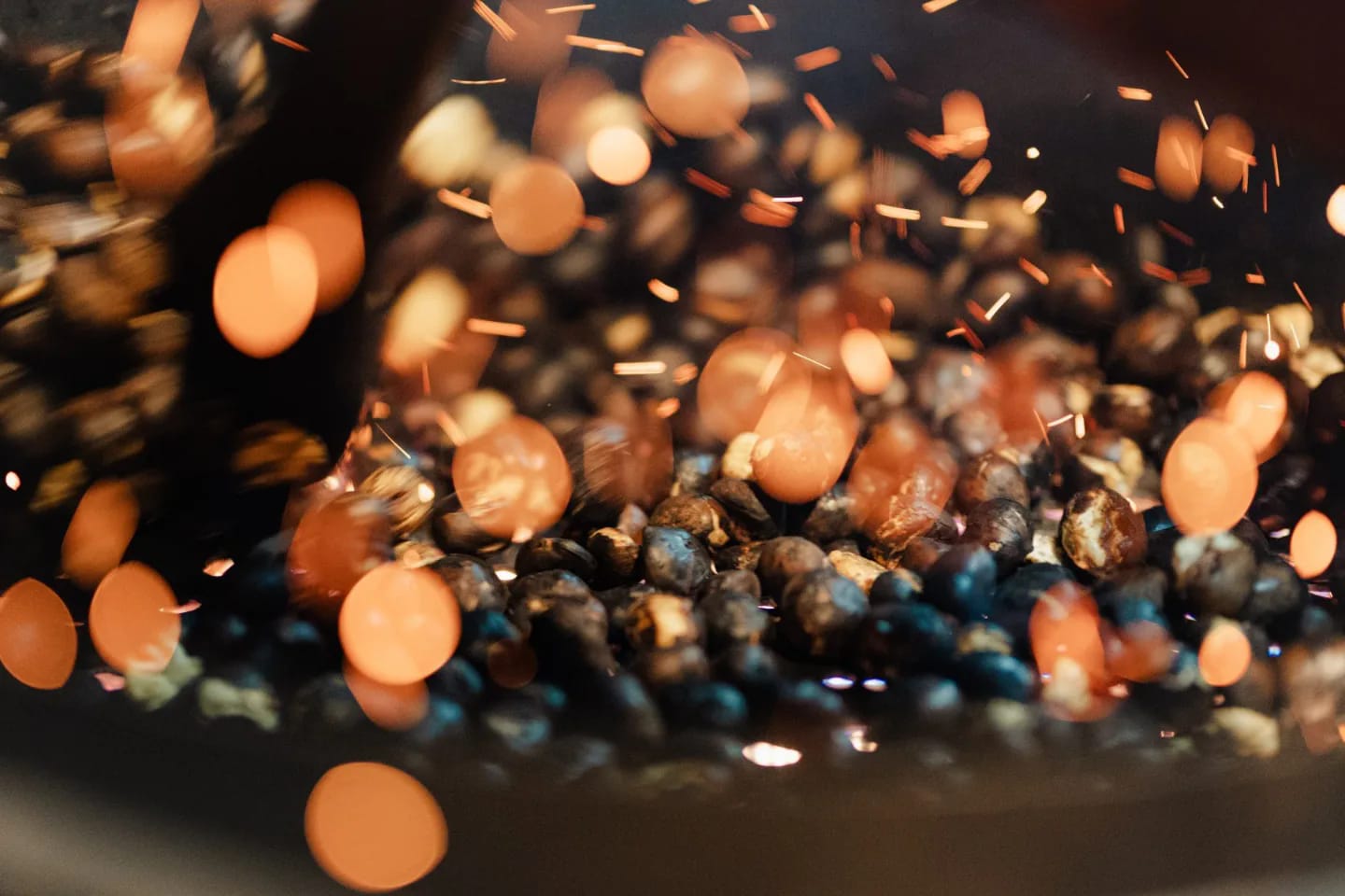  Фото: В. Шевчук