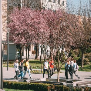 Расписана три јавна позива: Пријавите пројекте за младе