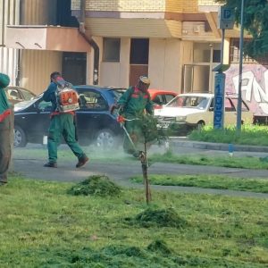 Интензивиране активности: Почео други циклус кошења по насељима
