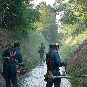 У току активности кошења корита ријеке Црквене У току активности кошења корита ријеке Црквене