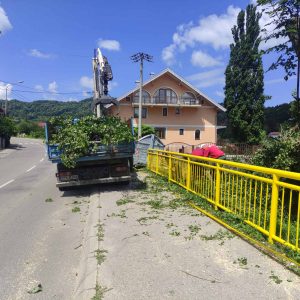 Екипе на терену: Због уклањања стабла оштећеног ударом грома дио плаже у Српским Топлицама привремено ограђен Екипе на терену: Због уклањања стабла оштећеног ударом грома дио плаже у Српским Топлицама привремено ограђен