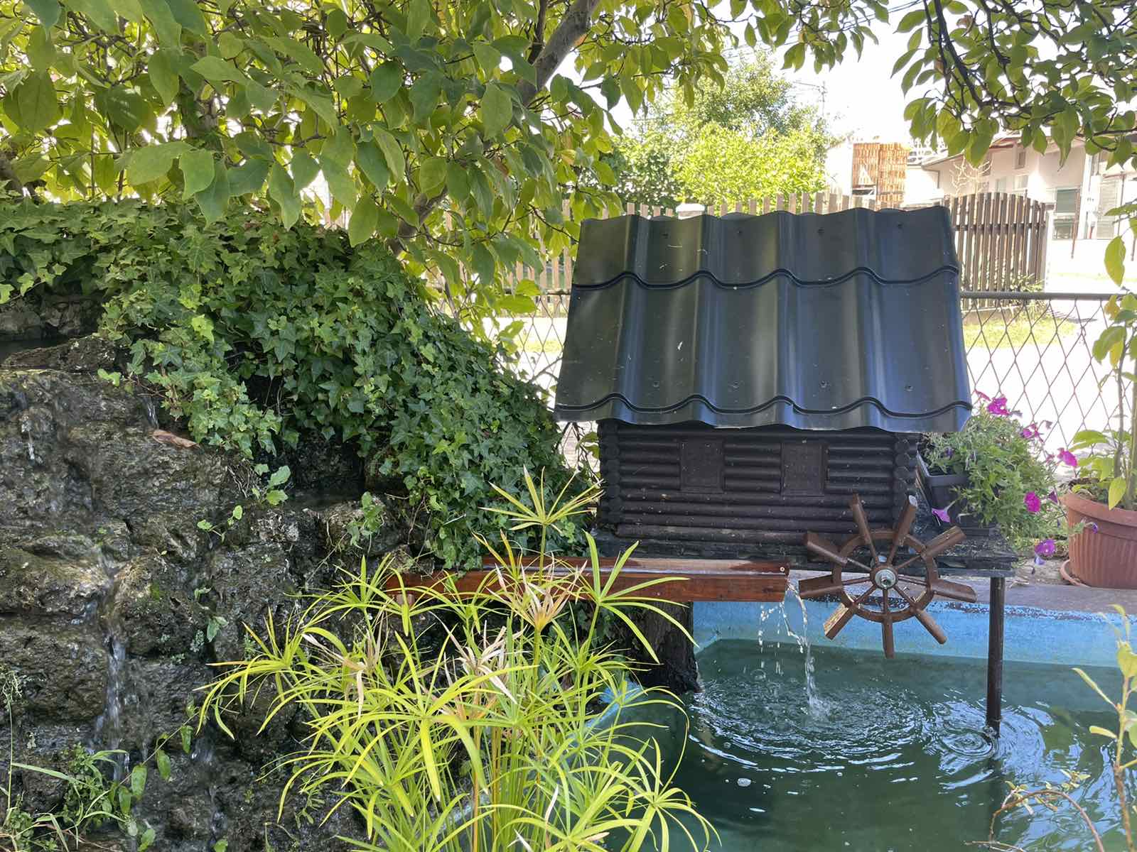  Фото архива