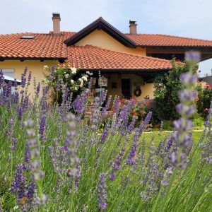 Уређењем свог дворишта, уређујем свој град: Придружите се акцији „Бирамо најуређеније“, пријаве отворене до 5. јула